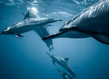 HuaTiHui：把题海变成成长海的学习伙伴